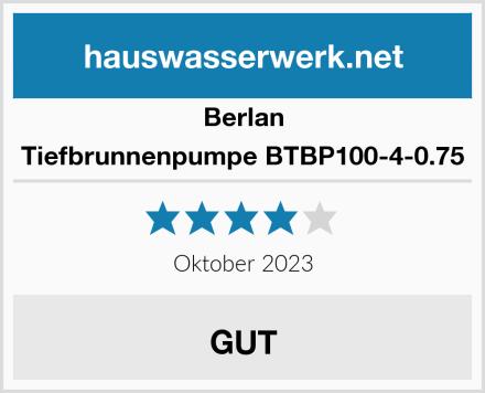 Berlan Tiefbrunnenpumpe BTBP100-4-0.75 Test