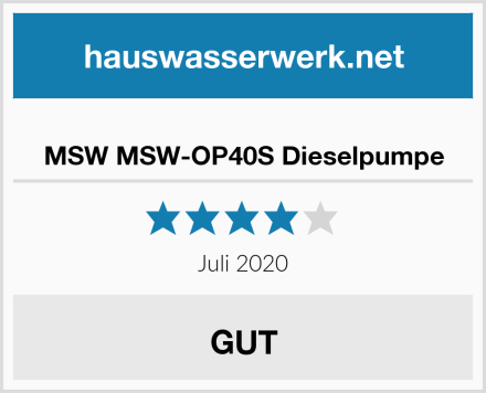  MSW MSW-OP40S Dieselpumpe Test