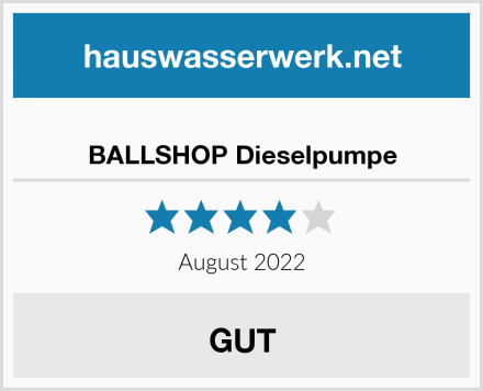  BALLSHOP Dieselpumpe Test