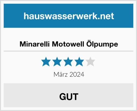  Minarelli Motowell Ölpumpe Test