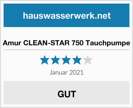  Amur CLEAN-STAR 750 Tauchpumpe Test