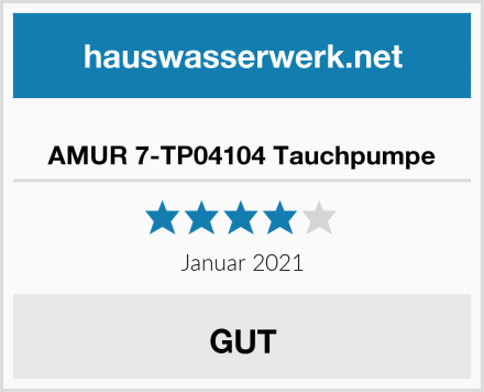  AMUR 7-TP04104 Tauchpumpe Test