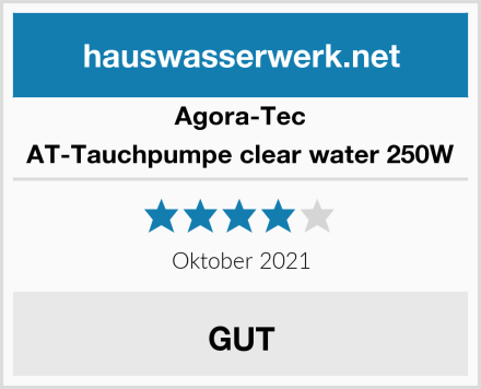 Agora-Tec AT-Tauchpumpe clear water 250W Test