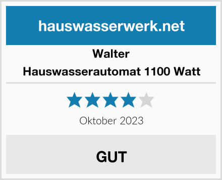 Walter Hauswasserautomat 1100 Watt Test