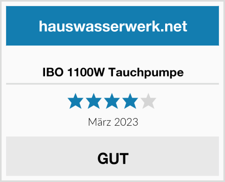  IBO 1100W Tauchpumpe Test