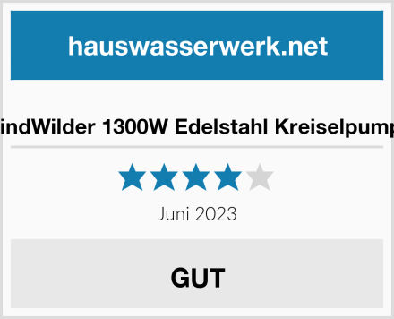  WindWilder 1300W Edelstahl Kreiselpumpe Test