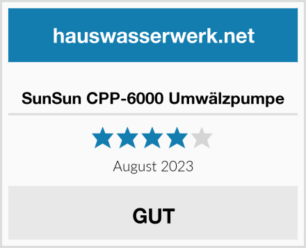  SunSun CPP-6000 Umwälzpumpe Test
